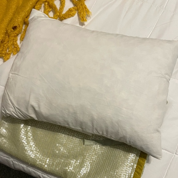 Michele Varian Silk and Sequin throw pillow cover with down insert seafoam green - Picture 8 of 12